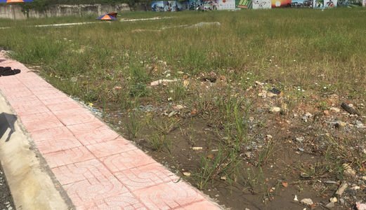 Bán Miếng Đất 2 Mặt Tiền Thuộc Huyện Bình Chánh Kdc Đại Phú