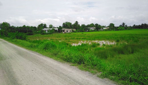 Đất Nông Nghiệp 1400M2, Chỉ 970 Triệu,Xã Nhơn Đức, Mặt Tiền Đường Dân Sinh 6M,Đường Long Thới