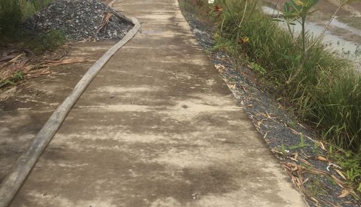 Cần Bán Lại 124 M2 Đất Xã Đa Phước, Bình Chánh. Giá 495Tr.