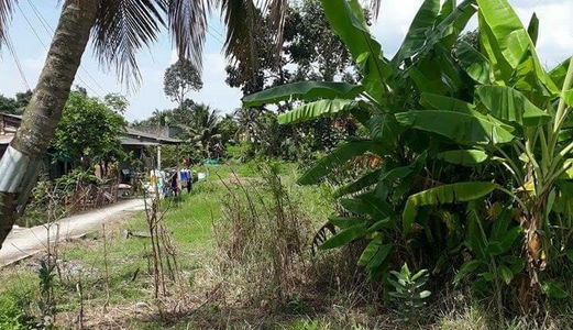 Bán Đất Có Nhà Trên 2000M2 Đường Xe Tải Vào Được Mỹ Khánh Phong Điền