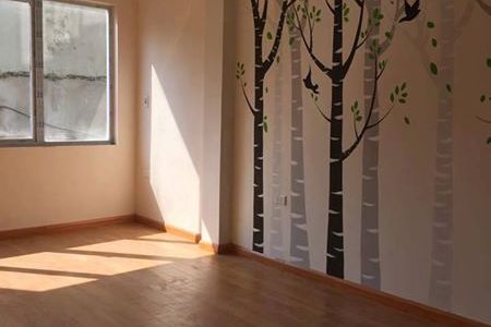 Chính Chủ Bán Nhà 5 Tầng Mặt Ngõ 217 Phố Mai Dịch