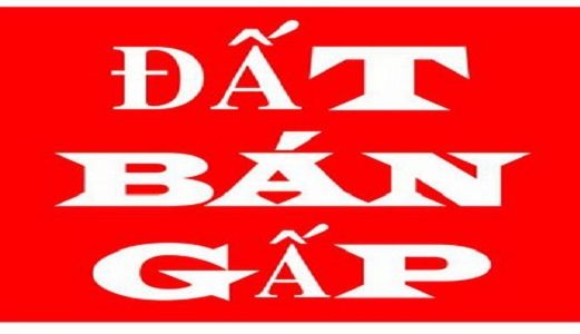  Cần Sang Lại Lô Đất 240m2(8x30m) Gần Đại Học Thủ Dầu Một Giá Chỉ 840 Triệu