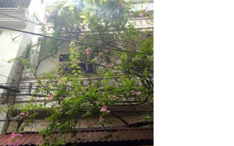 Đống Đa Giáp Ba Đình Đắt Đỏ, Hào Nam Phố 63M2 X4 Tầng, Ô Tô Đõ Cửa. Chỉ 6,5 Tỷ.