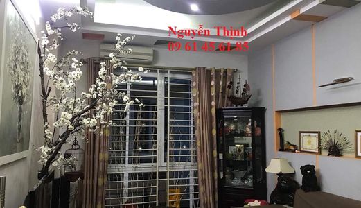 Bán Gấp Nhà Đường Láng 55M, 5 Tầng, Phân Lô, Lô Góc, Siêu Đẹp. 4,75 Tỷ