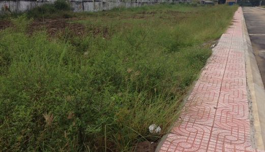 Kdc Đại Phú Mặt Tiền Trần Đại Nghĩa Giá Rẻ Nhất Khu Vực