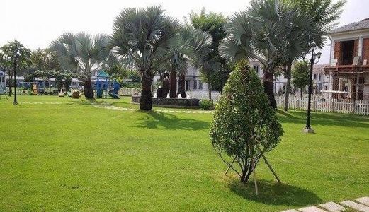 Đất Bình Chánh Chiết Khấu 5%, Tặng 2 Chỉ Vàng Chỉ Một Ngày Duy Nhất 03-12_2017