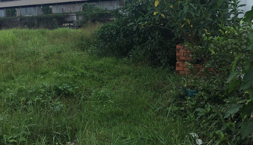 Sang Lại Lô Đất Thổ Cư 5X18M,shr, Mt Đường Nguyễn Văn Bứa, Tiện Kinh Doanh Buôn Bán