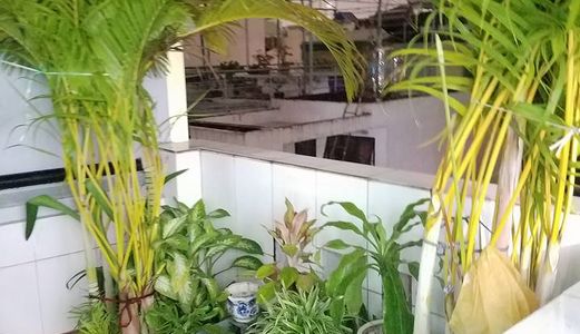 Bán Nhà Hxh Phùng Văn Cung, 45m2, 5 Tầng, Rất Đẹp, Kd, Giá 5.4 Tỷ.