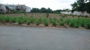 Cần Tiền Chi Trả Nợ Tôi Chính Chủ Bán 728M2 Đất Vườn Mt 4C, Xã Đa Phước, Bình Chánh