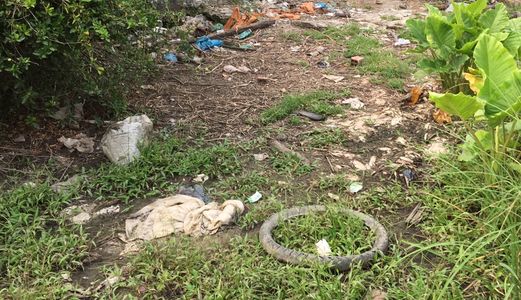 1.8 Tr/ M2 Đất Mặt Tiền Đường Ô Tô Xã Qui Đức, Bình Chánh.