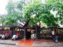 Cho Thuê Mặt Bằng Quán Cà Phê Sân Vườn Đường Tập Trung