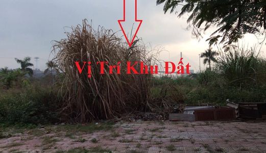Bán Nhiều Lô Đất Ở Khu Đô Thị Vựng Đâng, Cenco 5, P.Yết Kiêu Đẹp