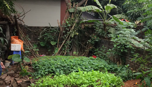 Bán Đất Thổ Cư Thôn Dền, Di Trạch, Hoài Đức 32m2 Giá 650 Triệu.