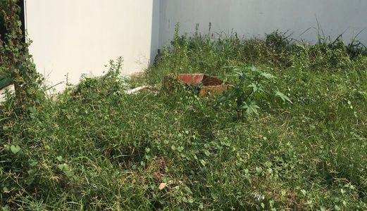 Cần Bán Gấp Lô 5X20M, 5X18M, Shr, Ng Thị Đành Đường Ra Dương Công Khi, Hóc Môn Giá Chỉ 350Tr