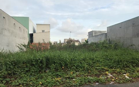 Chính Chủ, Bán Gấp 1000M2 Đất Mặt Tiền Lê Văn Việt,Quận 9,Shr