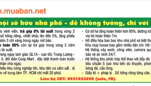 Bán Nhà Phố Biệt Thự Chính Chủ Tt Bến Lức Tỉnh Long An
