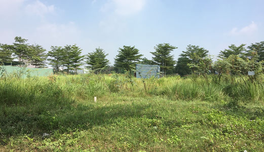 Bán Đất Nền Dự Án Mt Bưng Ông Thoàn, Phú Hữu, Q9, 52M2 Giá Dự Kiến 28Tr/m2 Lh: 0938920602
