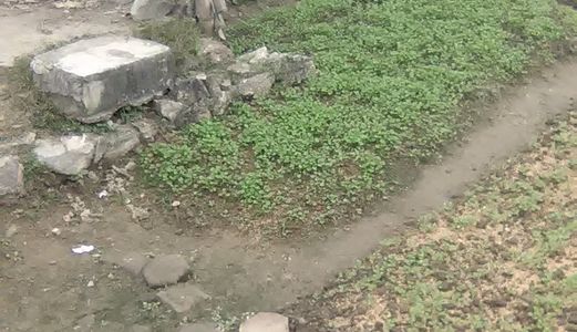 Bán Đất Rẻ Nhất Thanh Hóa Sổ Đỏ Chính Chủ 