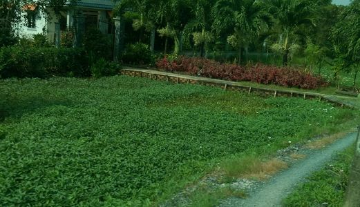 Bán Gấp 900M2 Đất Bình Chánh, Mặt Tiền Đường 20M, Giá Chỉ 2 Tỷ