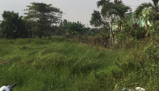 1.8Tr/ M2 Mặt Tiền Đường Xe Du Lịch, Xã Qui Đức, Bình Chánh.