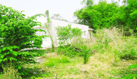 Bán 1000m2 Đất Kho Xưởng Đường Liên Ấp 4 - 5 Đa Phước. Song Hành Quốc Lộ 50. Chỉ 3.2 Tỷ