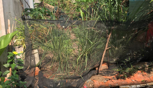 Gia Đình Tôi Cần Bán Gấp 2 Lô 5x21m, Ngay Mt Ấp 5 Xtt Đường 10m 480 Tr, Đã Có Shr, Bao Sang Tên