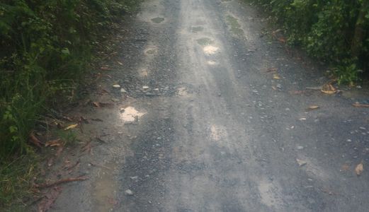 Kẹt Tiền Cần Bán Gấp Đất Xã Tân Quý Tây Huyện Bình Chánh
