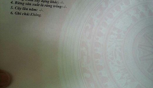 Bán Nhà 1 Trệt 1 Lầu Trục Chính Hẻm 12 Đ. Mậu Thân