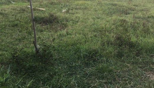 Chính Chủ Bán Gấp 1487M Đất Xã Tân Quý Tây  ,Bình Chánh