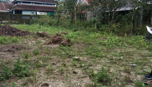 Đất Đẹp 345 Triệu 100M2 Đường Ô Tô Thành Phố Huế