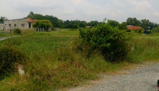 Đất Thổ Ngay Khu Công Nghiệp Tân Đức. Dt: 12X50M, Giá 2 Tỷ 5