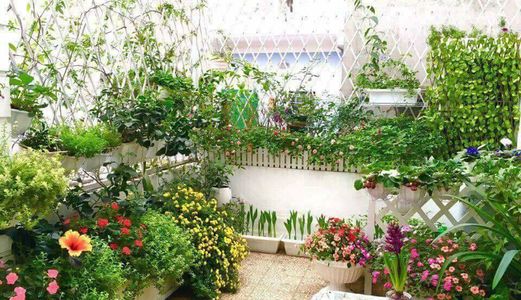 Bán Nhà Đường Khuất Duy Tiến Quận Thanh Xuân  Ba Mặt Thoáng.