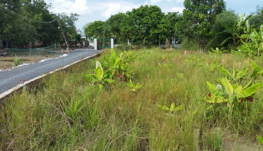 500M2 Đất Đầu Tư, Xây Xưởng Mt Đường 835A, Giá Bèo.