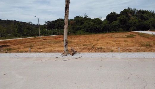 Đất Nằm Ngay Mặt Tiền Đường Ba Trại, Xã Cửa Dương, Tt Trấn Dương Đông, Phú Quốc