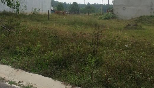 Đất Mỹ Phước 3 Bến Cát Bình Dương