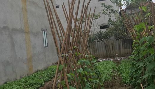 82M2 Đất Ở Thôn An Thọ  - An Khánh Giá 12 Triệu/m2