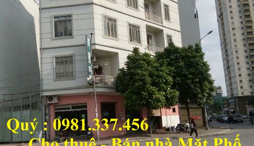 Cho Thuê Mặt Phố Hoàng Cầu 1100M2, Mt 20M Quý Mặt Phố 0981337456