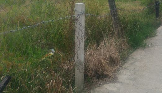 Đất Thổ Cư Bán Gấp Giá Rẻ,đường Xe Ô Tô Tân Kim Cần Giuộc Long An