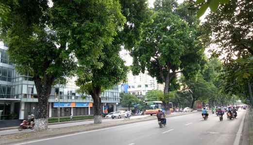  Chính Chủ Bán Nhà Mặt Phố Kim Mã, Đường Đôi, 80M2, 3 Tầng, Mt 6M Giá 21.5 Tỷ