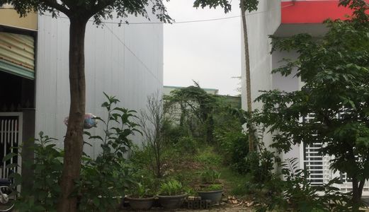 Bán Đất Nguyễn Quang Lâm, Đông, 115M2, Hòa Xuân, Cẩm Lệ, Đà Nẵng