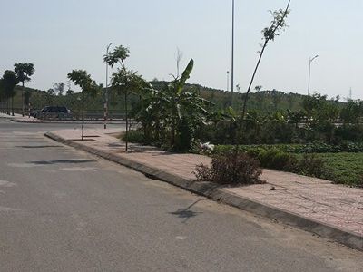 - Bán Mảnh Đất Mặt Đường Võ Nguyên Giáp , Phường Hoàng Diệu , Tp Thái Bình - Diện Tích 4,5 X 18=81M