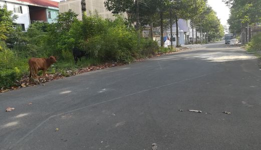 Bán Nền Kdc Nông Thổ Sản - Dt 120M2 - Hướng Đông Nam - Giá 990 Triệu - Lg 20M - Lh 0986 184 837 (Sư