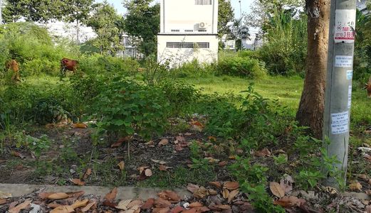 Bán Nền Kdc Nông Thổ Sản - Dt 120M2 - Hướng Đông Nam - Giá 990 Triệu - Lg 20M - Lh 0986 184 837 (Sư