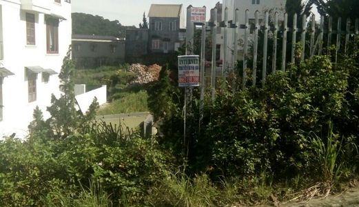 Bán Đất Mặt Tiền Đường Chính Bùi Thị Xuân, P.2, Đà Lạt, 370m2, 14x25m, 31 Tỷ 500 Triệu