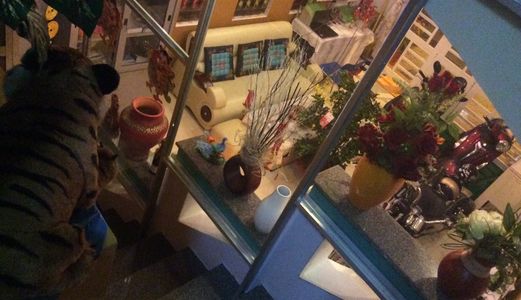 Bán Nhà Mặt Tiền Đường B11 - Kdc 91B ( Dtsd : 220M2 )