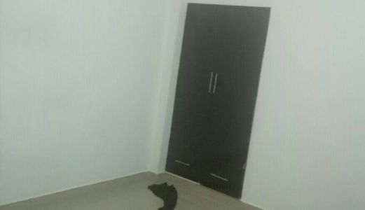 Bán Nhà 48.5M2 Đường Nguyễn Tuyển Phường Bình Trưng Tây Quận 2