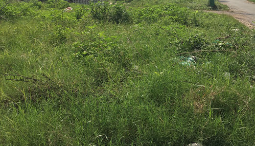 Cần Bán Đô Thị Hóc Môn Gần Chợ Bà Điểm, Trên Đường Bùi Văn Ngữ, Giá Rẻ Chỉ 455Tr/Nền