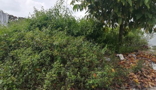 Bán Nền Biệt Thự Kdc Long Thịnh