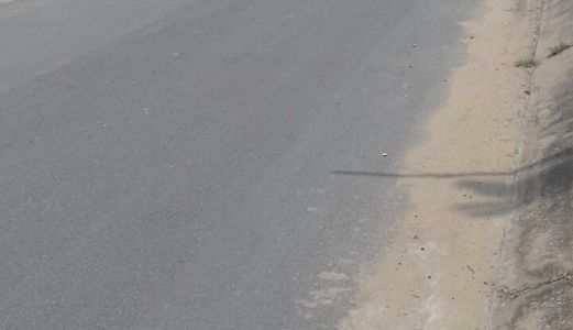 Bán Đất 65M2(4X16.25),  Mặt Tiền Đường 6, Long Trường Q9. Giá 2.1 Tỷ . Hướng Đông