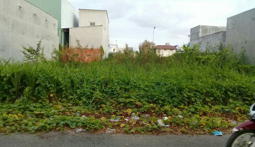 Bán Gấp Đất Chính Chủ 160m2 Chỉ 9,3 Tr/m2 Shr Ngay Kdc Long Hậu Lh:0934975328